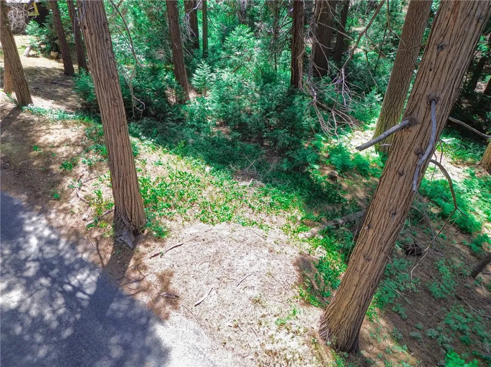590 Electra Drive Crestline, CA 92325
