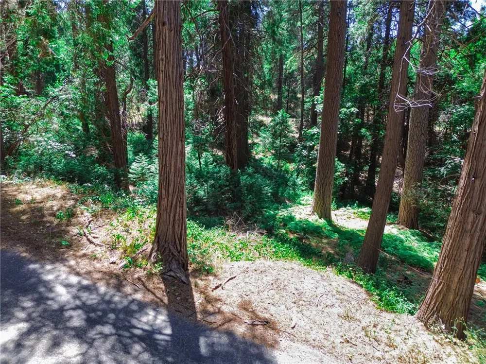 590 Electra Drive Crestline, CA 92325