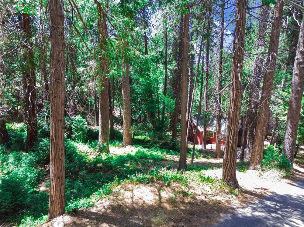 590 Electra Drive Crestline, CA 92325