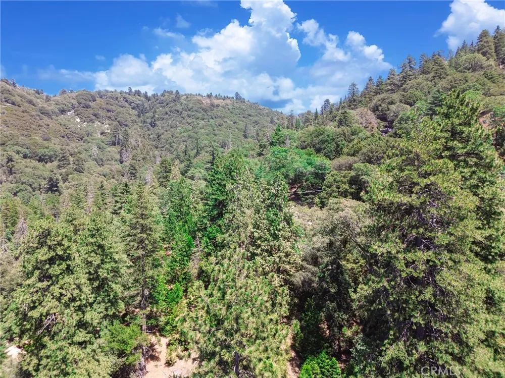590 Electra Drive Crestline, CA 92325