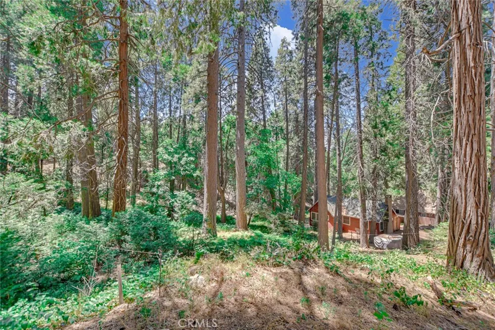590 Electra Drive Crestline, CA 92325