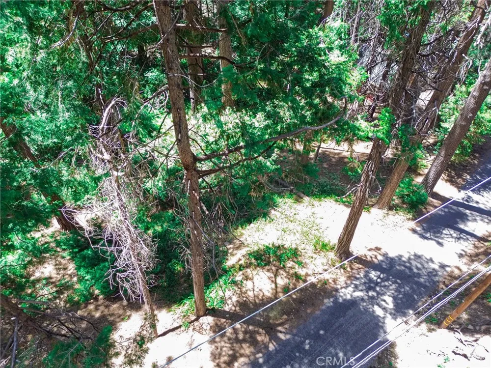 590 Electra Drive Crestline, CA 92325