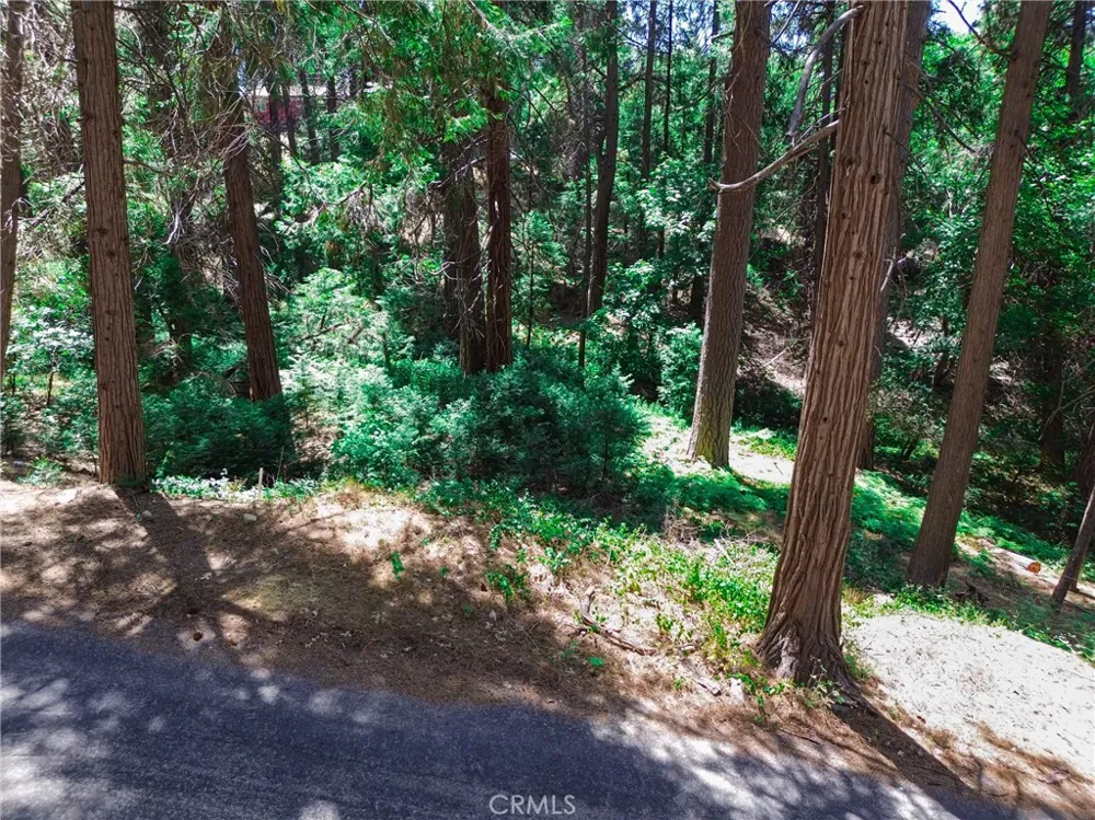 590 Electra Drive Crestline, CA 92325