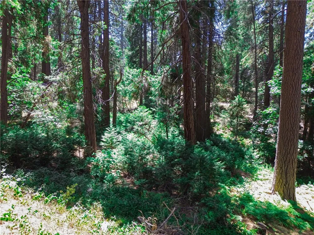 590 Electra Drive Crestline, CA 92325