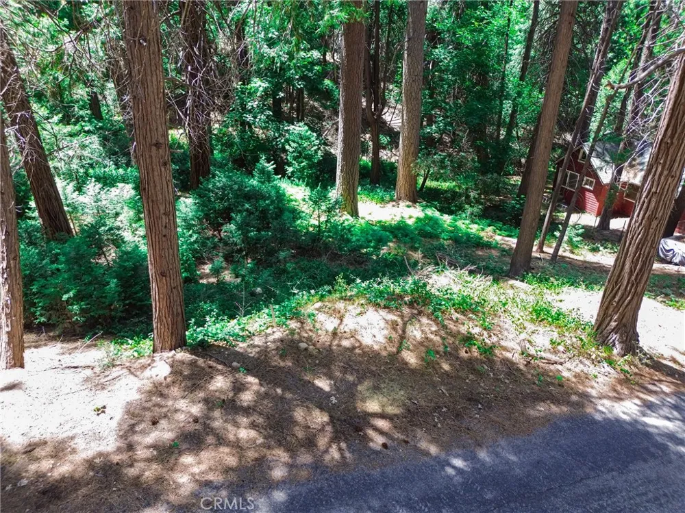590 Electra Drive Crestline, CA 92325