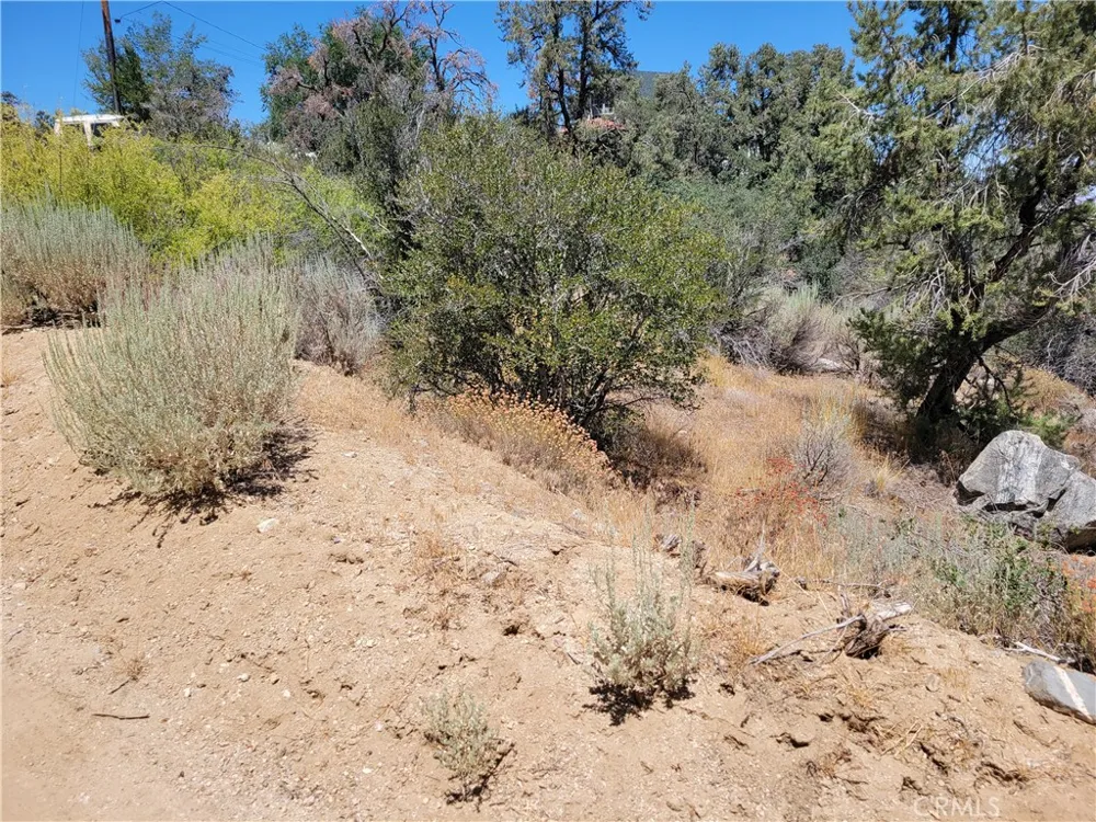 Old Oak Springs Valley Road Wrightwood, CA 92397