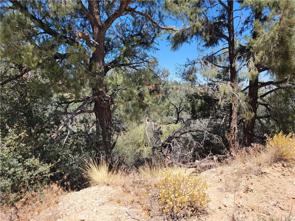 Old Oak Springs Valley Road Wrightwood, CA 92397