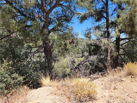 Old Oak Springs Valley Road