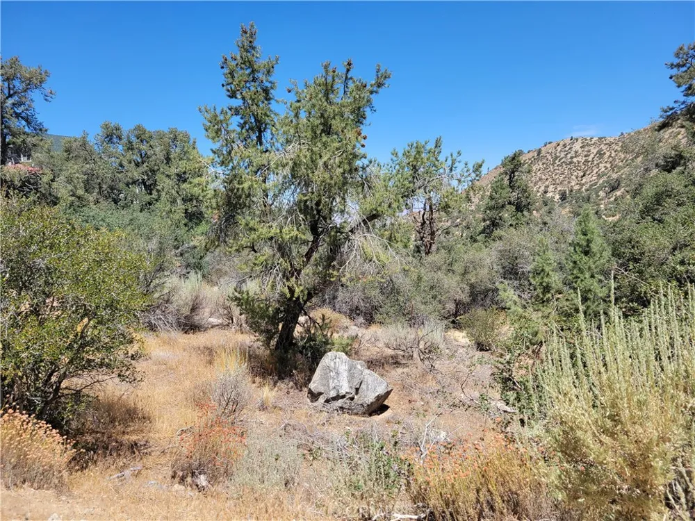 Old Oak Springs Valley Road Wrightwood, CA 92397