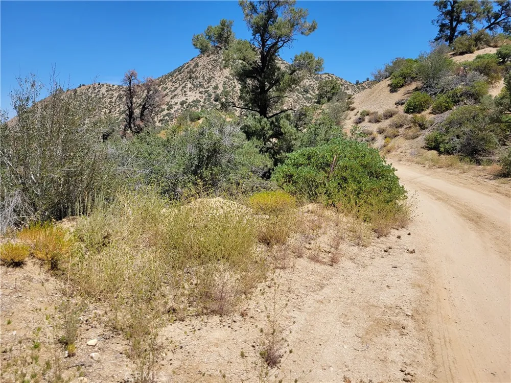 Old Oak Springs Valley Road Wrightwood, CA 92397