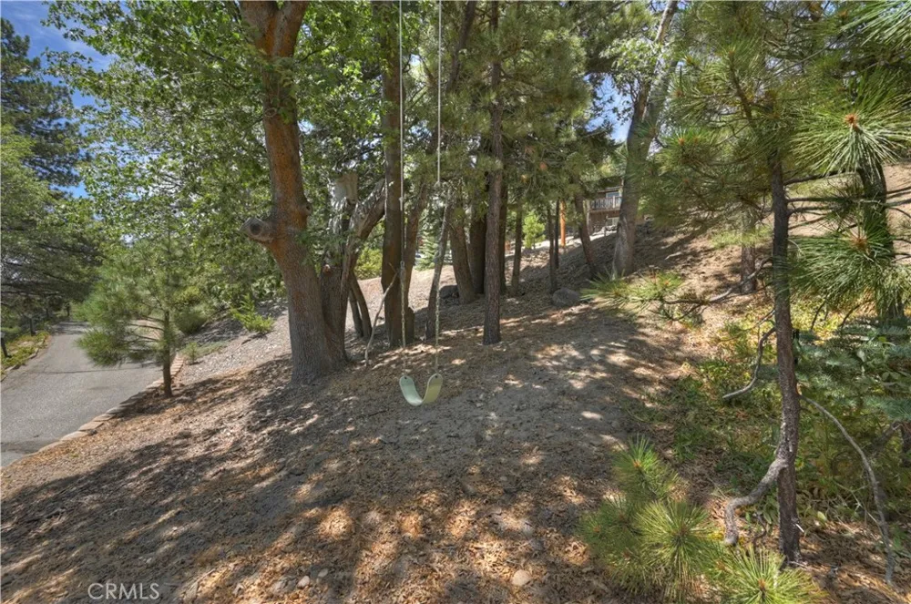 707 Briar Lane Green Valley Lake, CA 92341