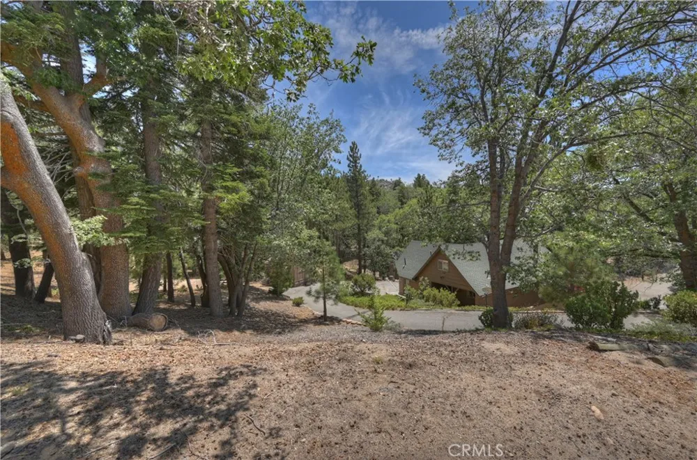 707 Briar Lane Green Valley Lake, CA 92341