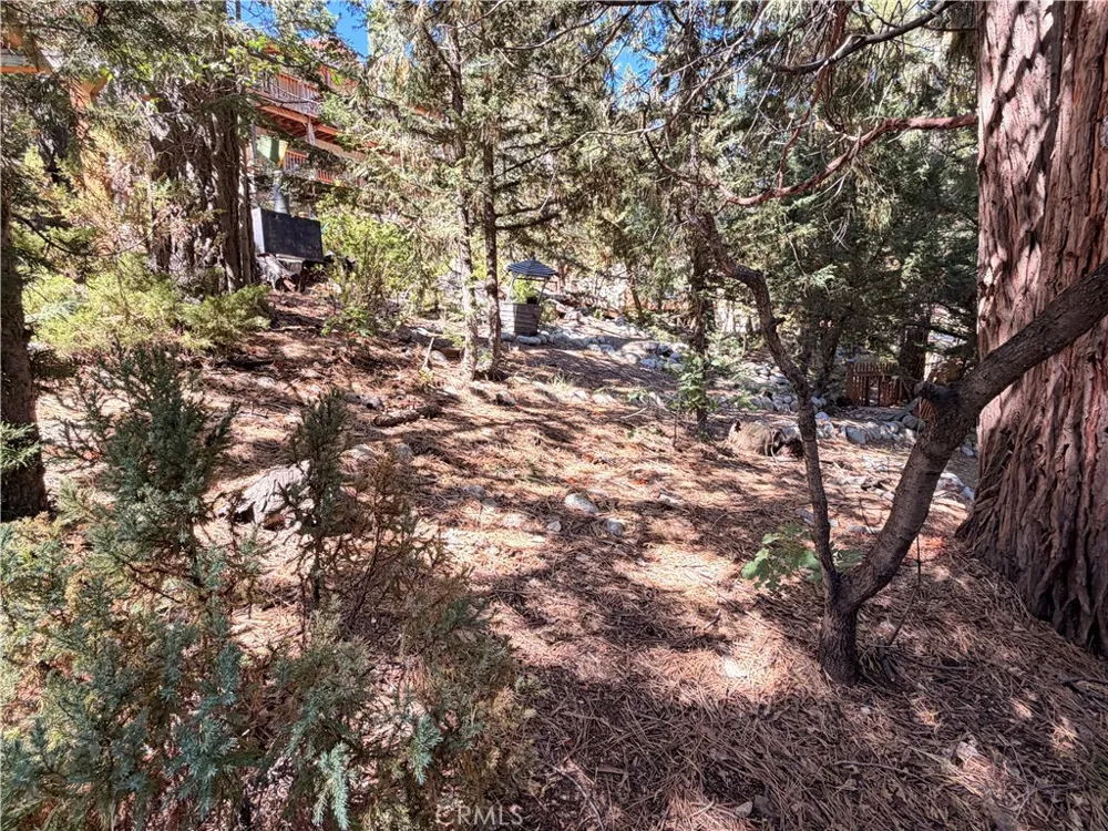 32778 Deer Lick Arrowbear, CA 92382
