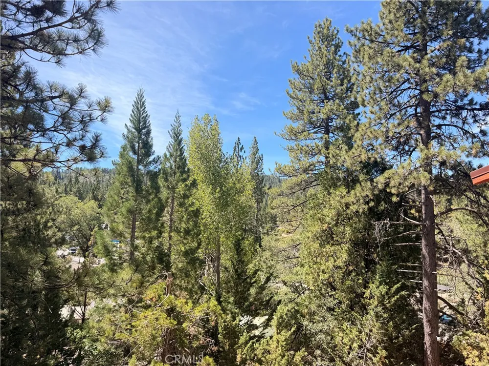 32778 Deer Lick Arrowbear, CA 92382