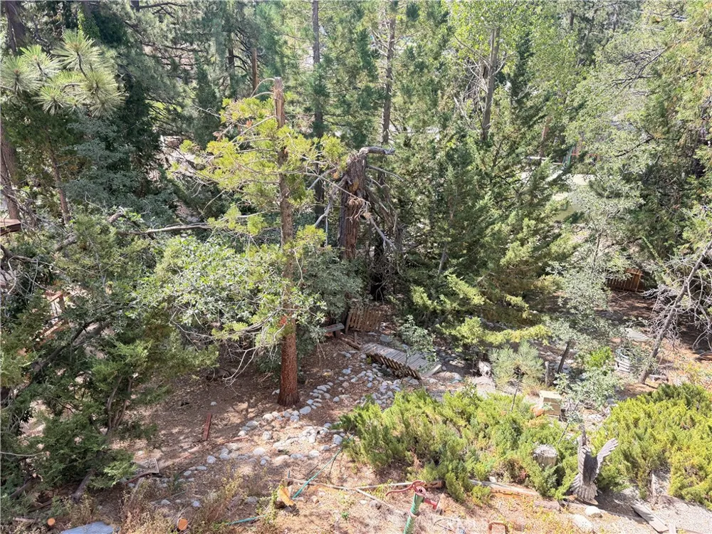 32778 Deer Lick Arrowbear, CA 92382