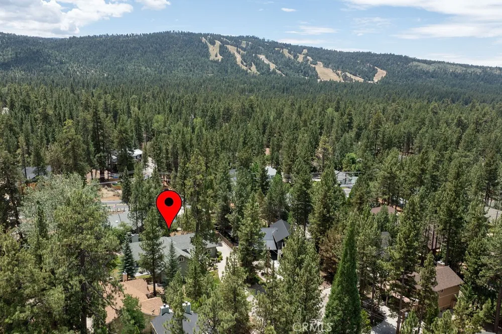 155 Lodgepole Big Bear Lake, CA 92315