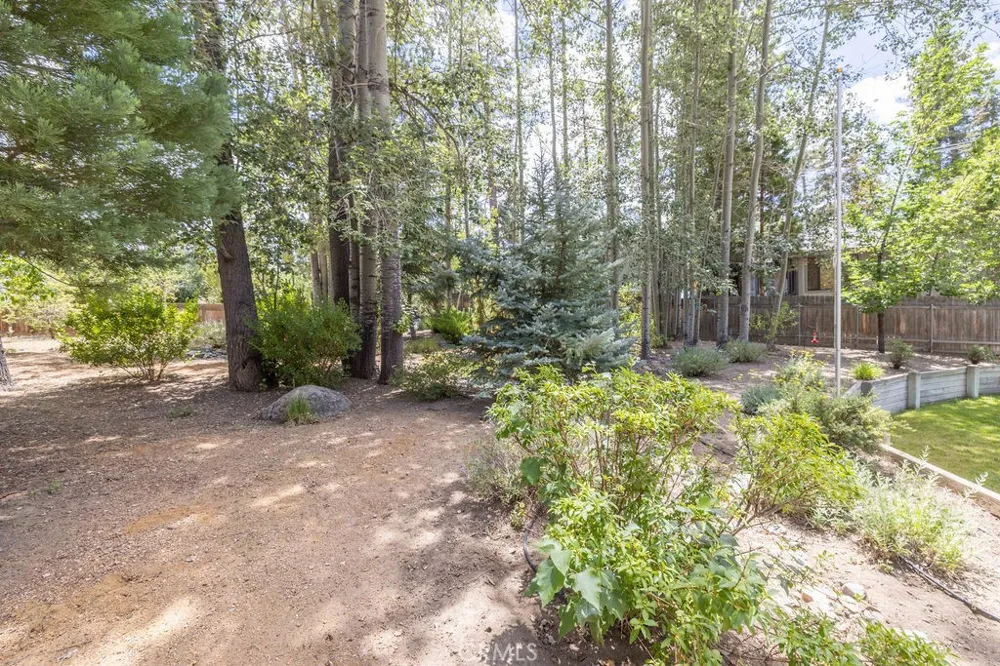 155 Lodgepole Big Bear Lake, CA 92315