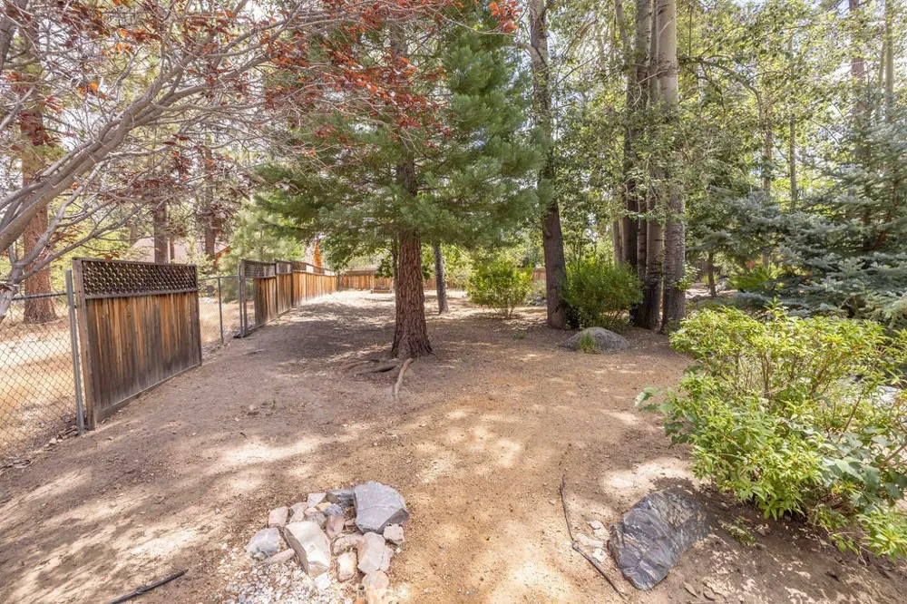 155 Lodgepole Big Bear Lake, CA 92315