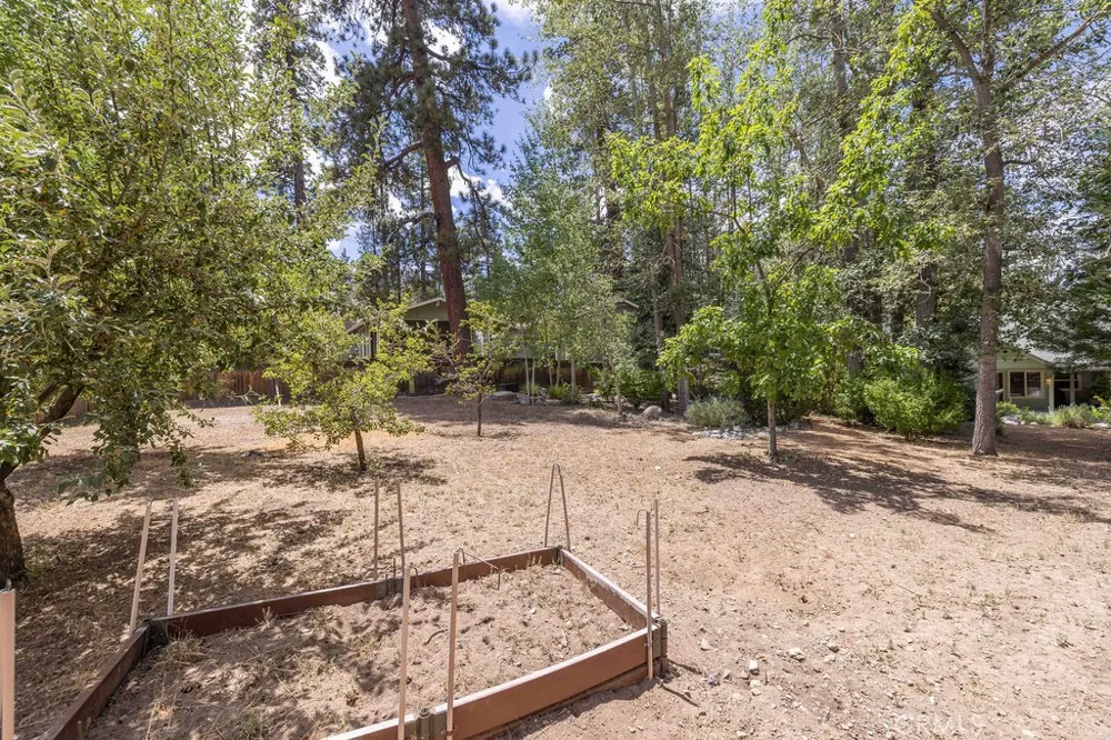155 Lodgepole Big Bear Lake, CA 92315