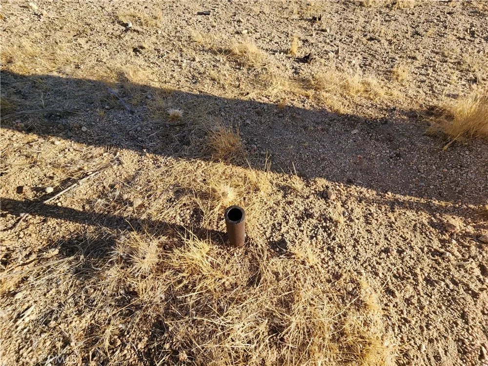 61329 Rocky Vista Lane Joshua Tree, CA 92252