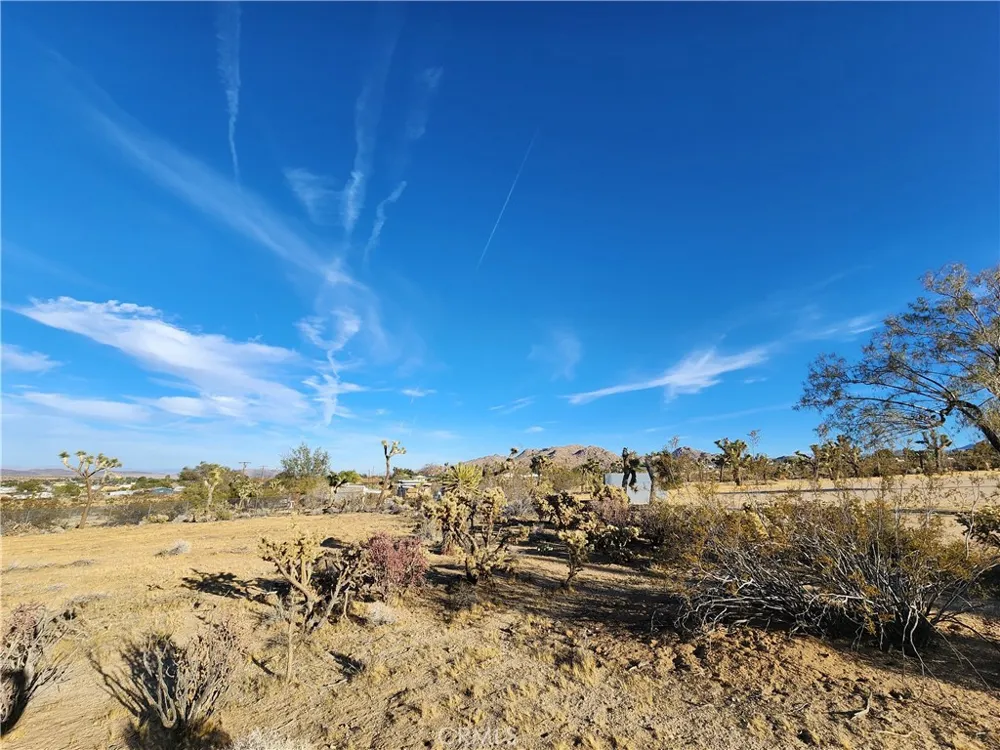 61329 Rocky Vista Lane Joshua Tree, CA 92252