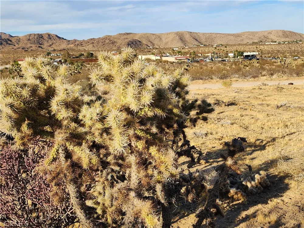 61329 Rocky Vista Lane Joshua Tree, CA 92252