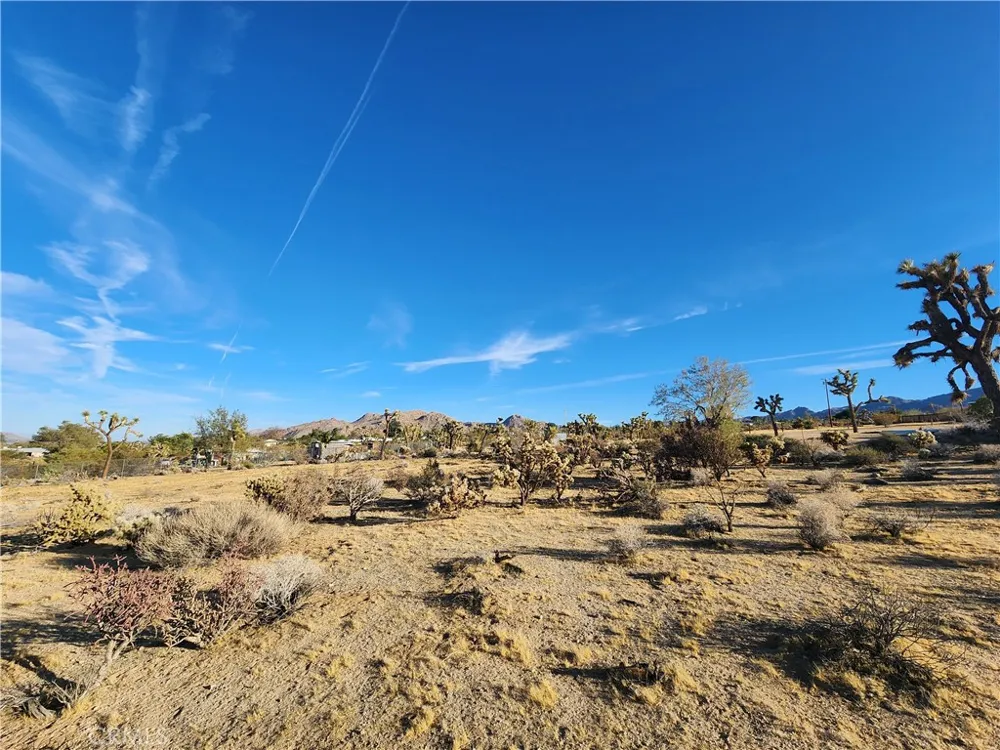61329 Rocky Vista Lane Joshua Tree, CA 92252