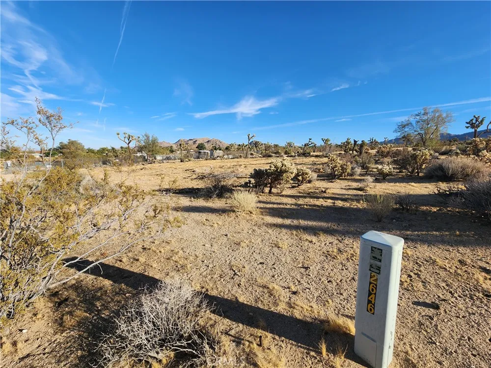 61329 Rocky Vista Lane Joshua Tree, CA 92252