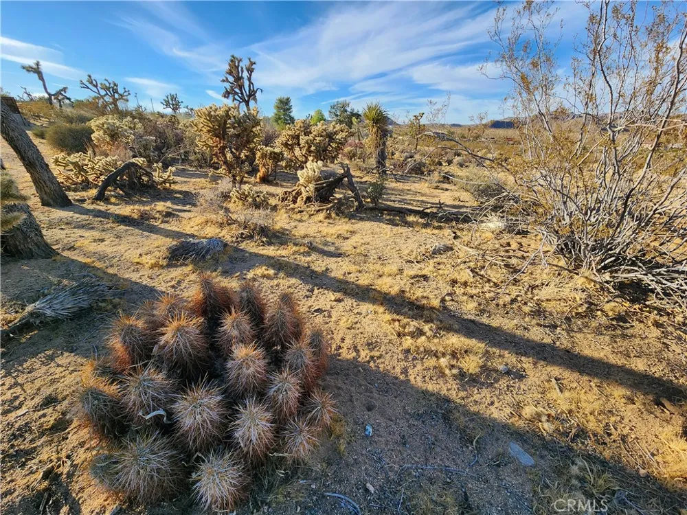 61329 Rocky Vista Lane Joshua Tree, CA 92252