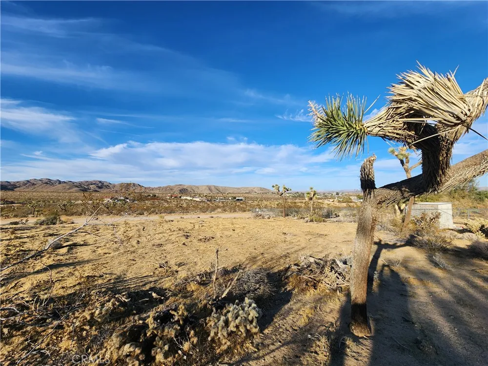 61329 Rocky Vista Lane Joshua Tree, CA 92252