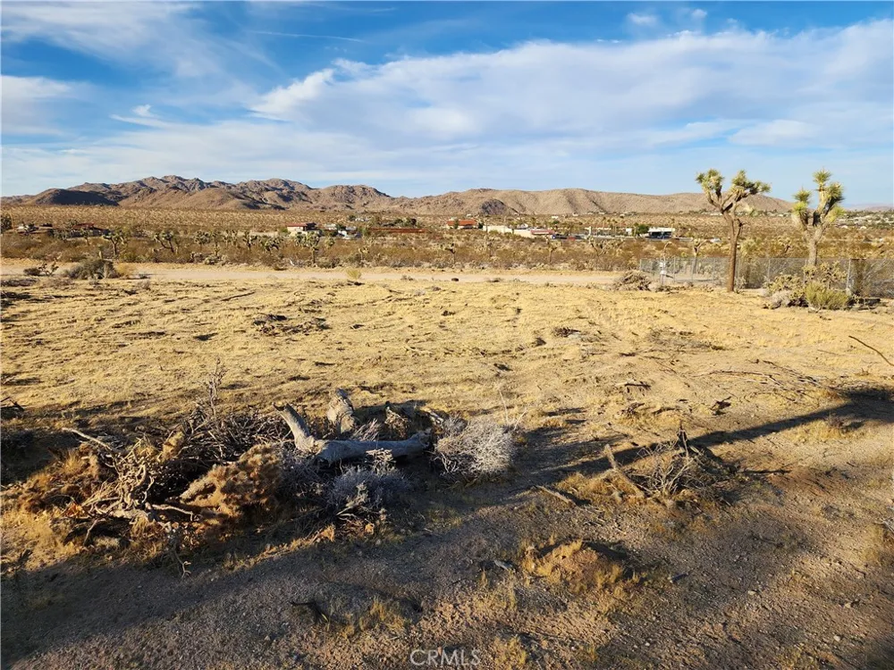 61329 Rocky Vista Lane Joshua Tree, CA 92252