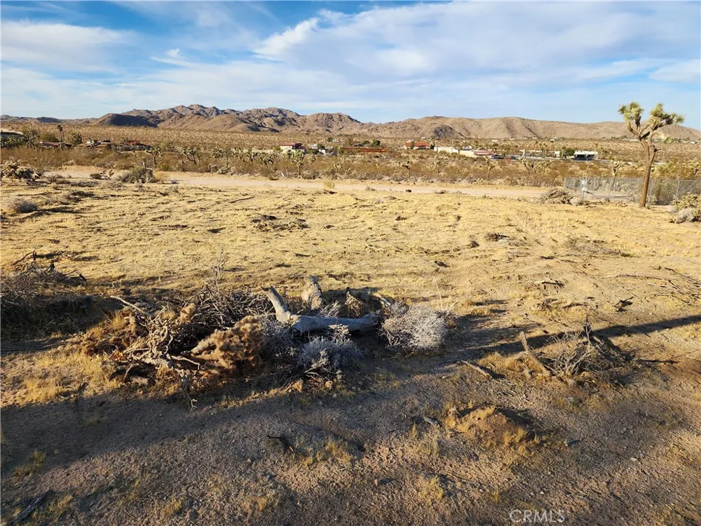 61329 Rocky Vista Lane Joshua Tree, CA 92252