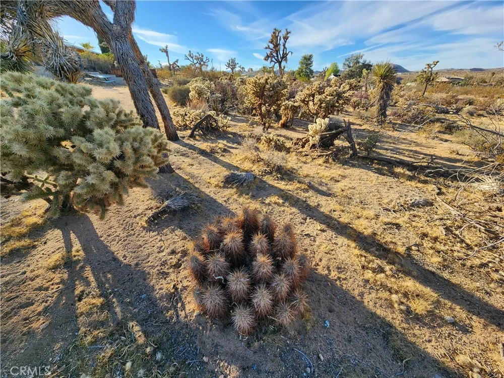 61329 Rocky Vista Lane Joshua Tree, CA 92252