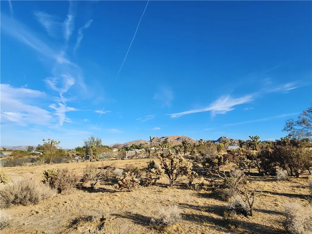 61329 Rocky Vista Lane Joshua Tree, CA 92252