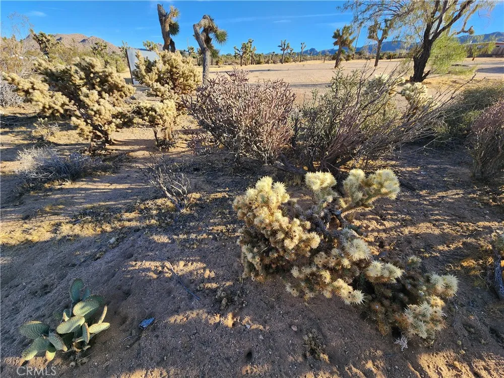 61329 Rocky Vista Lane Joshua Tree, CA 92252