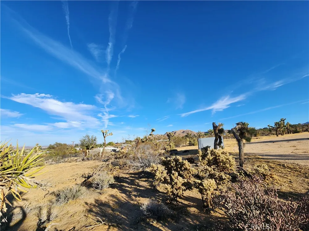 61329 Rocky Vista Lane Joshua Tree, CA 92252