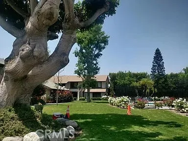 11692 S Birchbark Orange, CA 92869
