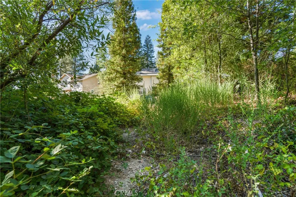 961 Estey Placerville, CA 95667
