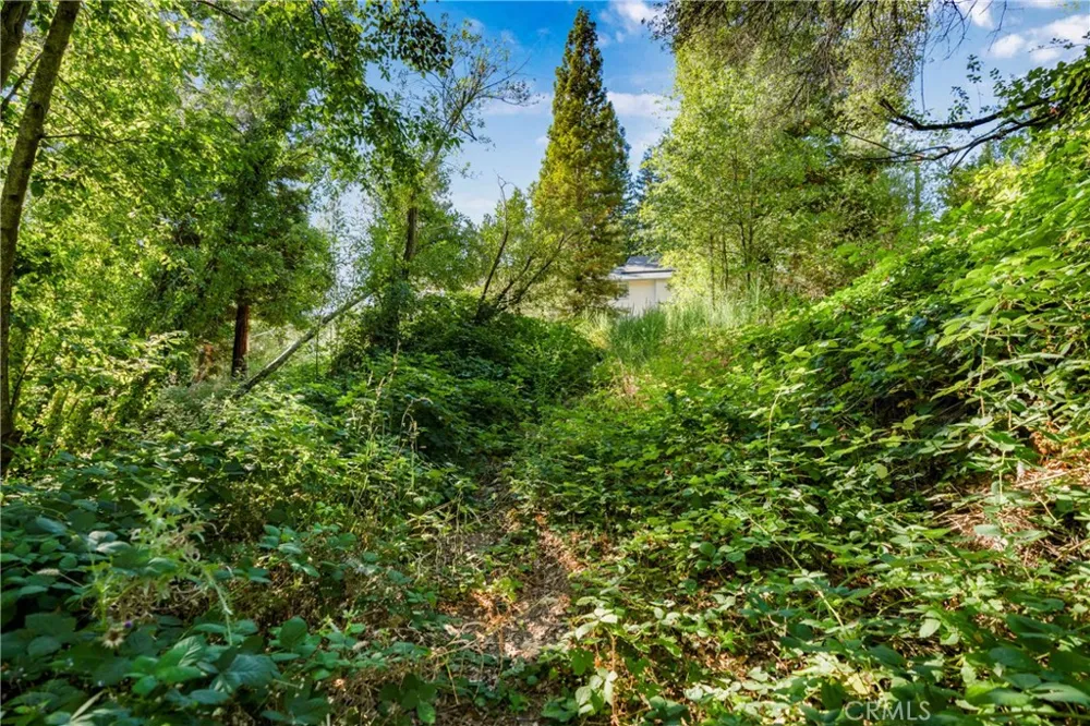 961 Estey Placerville, CA 95667