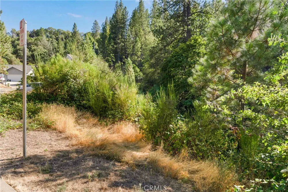 961 Estey Placerville, CA 95667
