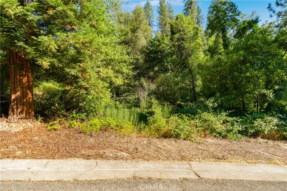 961 Estey Placerville, CA 95667