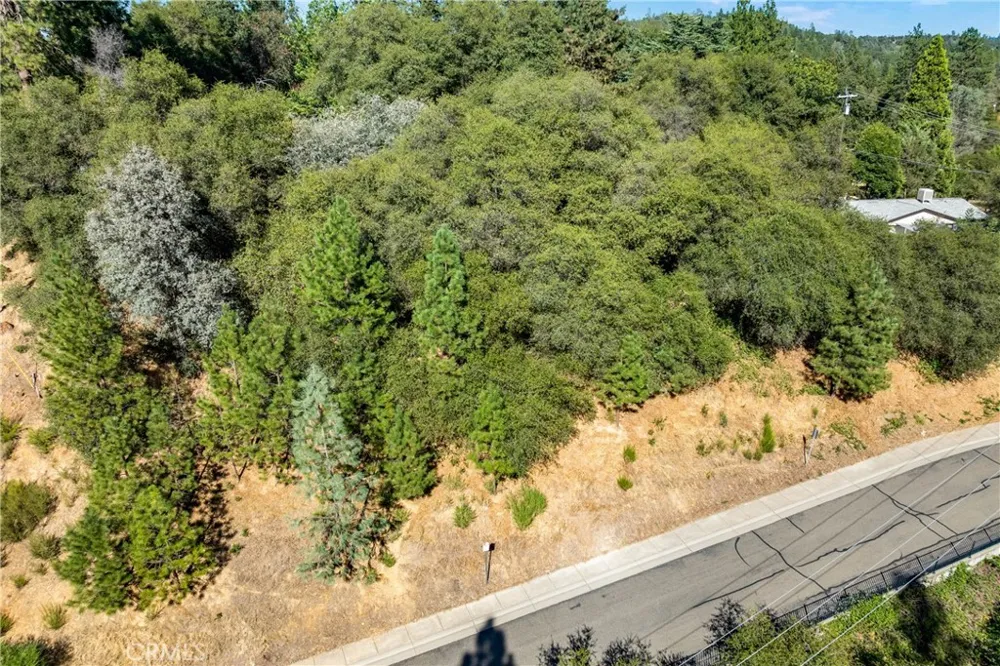 961 Estey Placerville, CA 95667