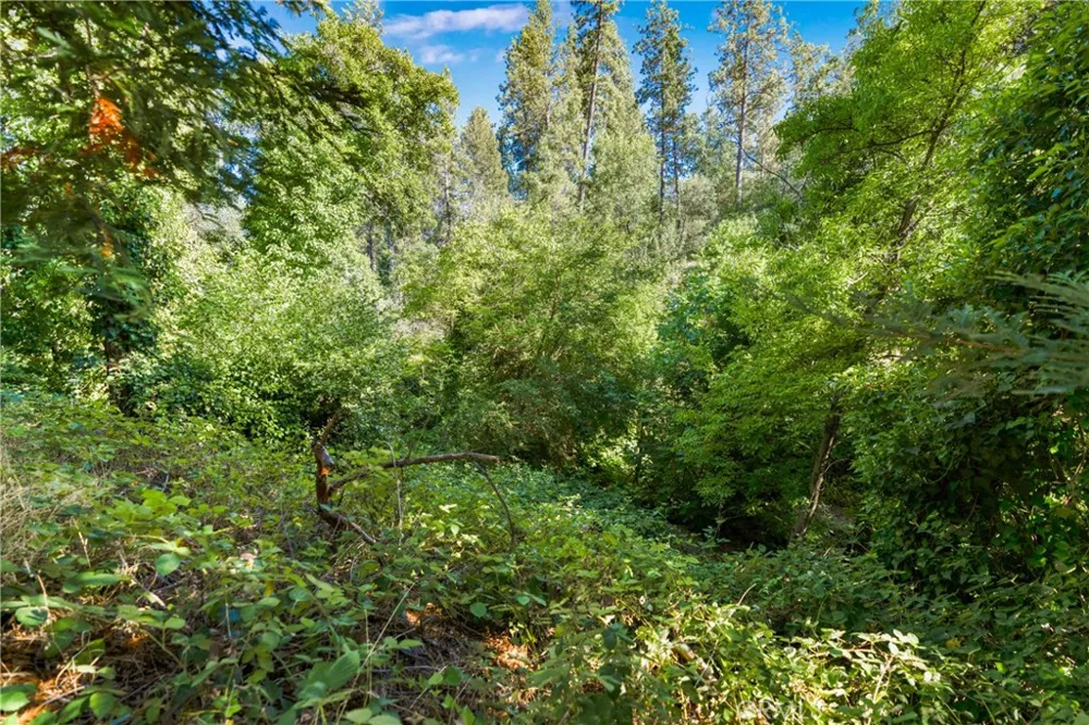 961 Estey Placerville, CA 95667