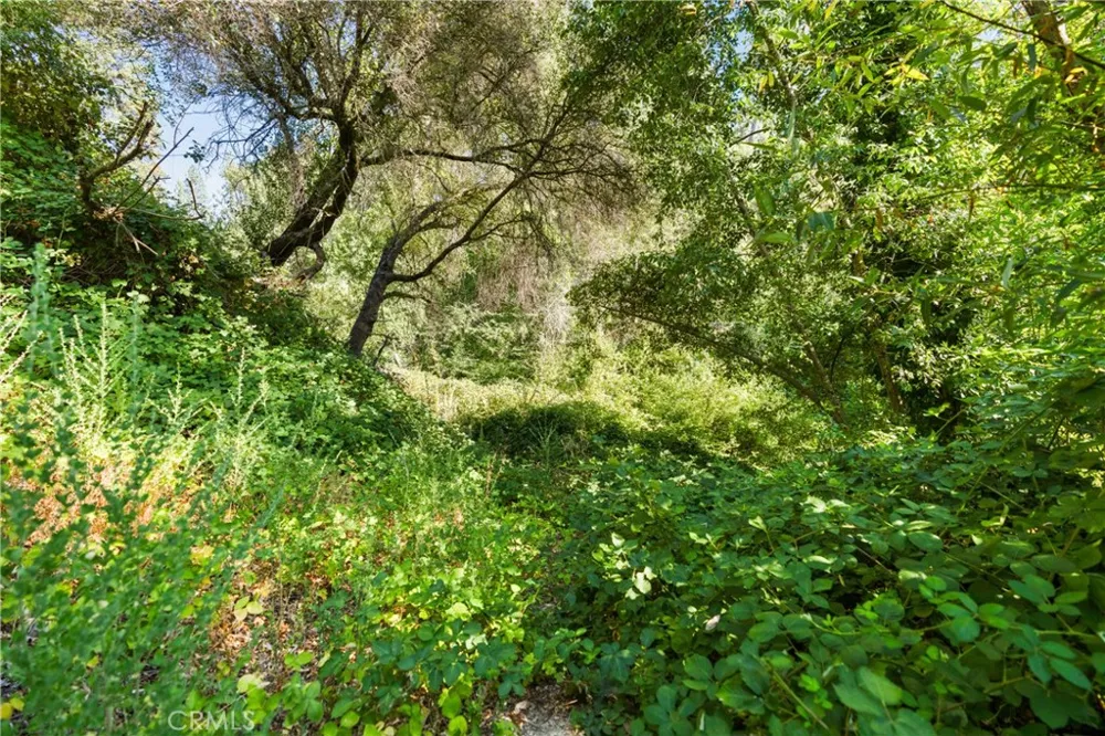 961 Estey Placerville, CA 95667