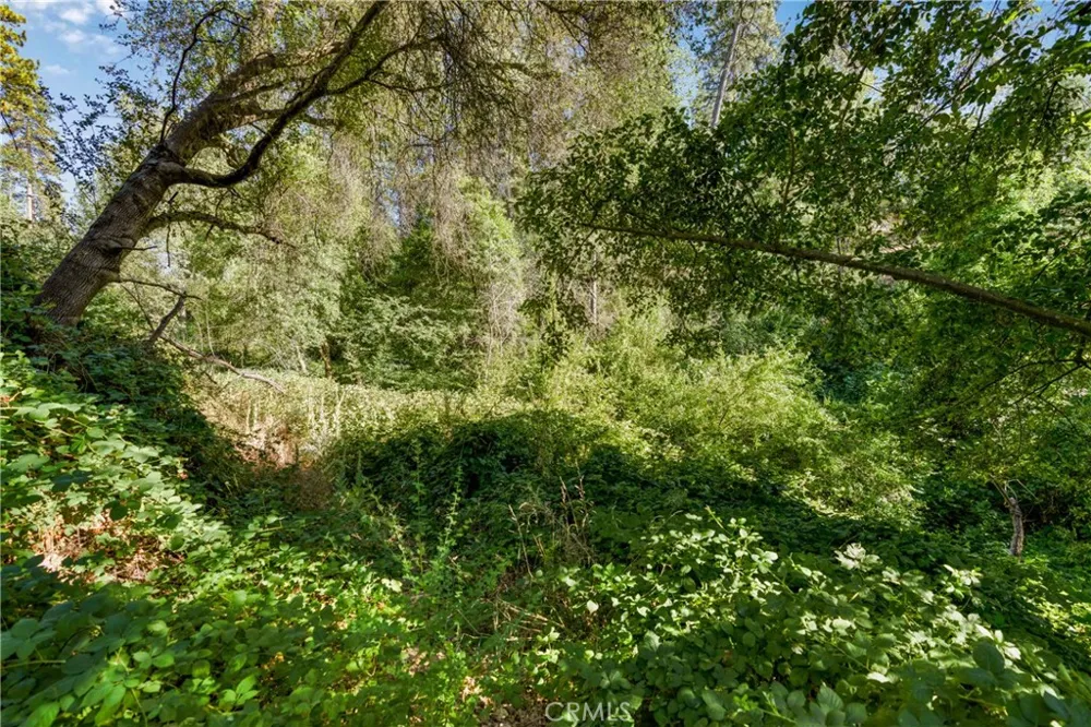 961 Estey Placerville, CA 95667