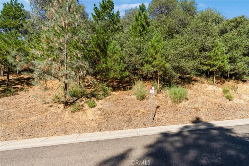 961 Estey Placerville, CA 95667