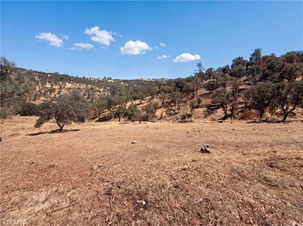 6041 Thornicroft Valley Springs, CA 95252