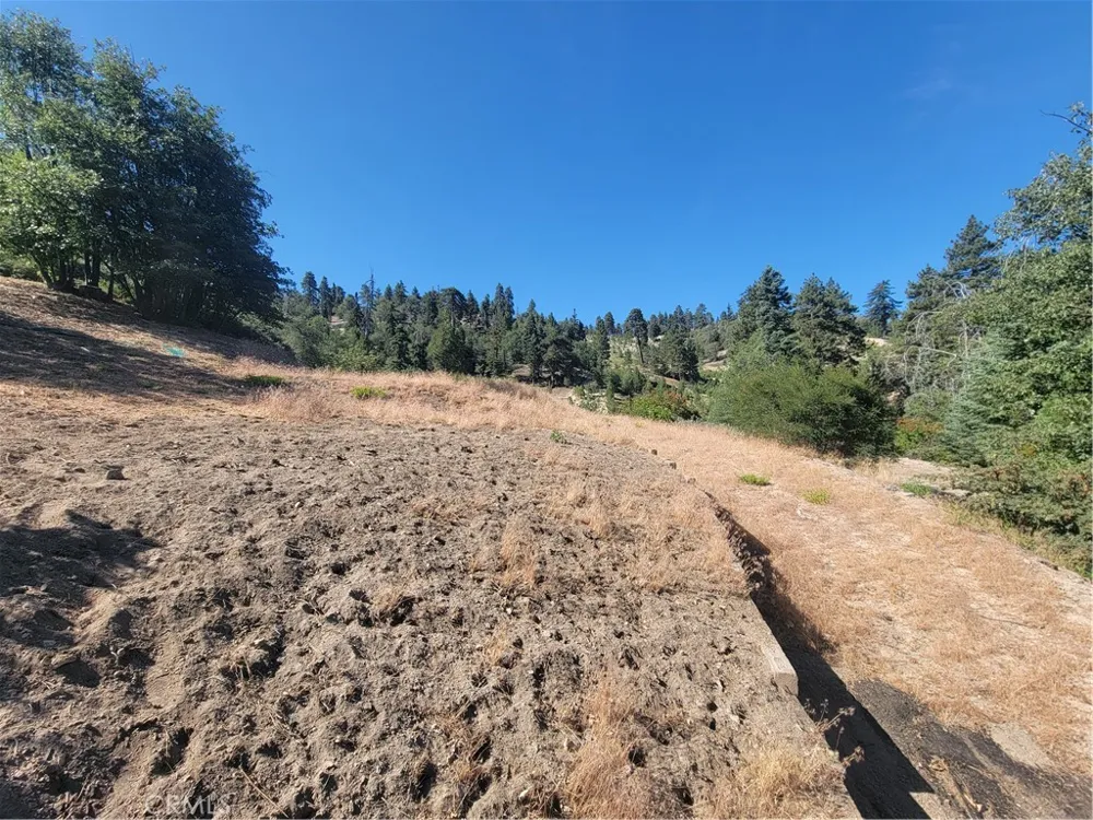 33345 Angeles Green Valley Lake, CA 92341
