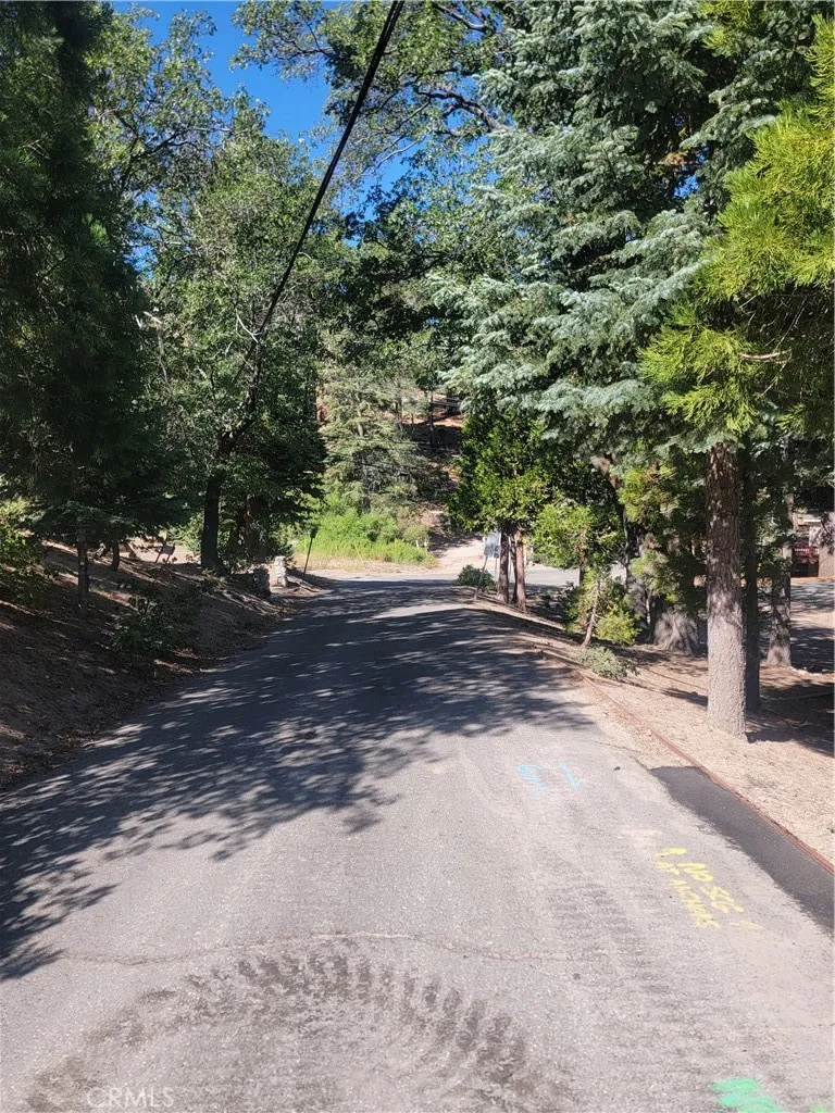 33345 Angeles Green Valley Lake, CA 92341