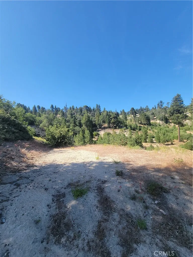 33345 Angeles Green Valley Lake, CA 92341